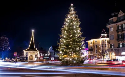 Самые красивые новогодние елки Украины - опубликованы фото - Апостроф