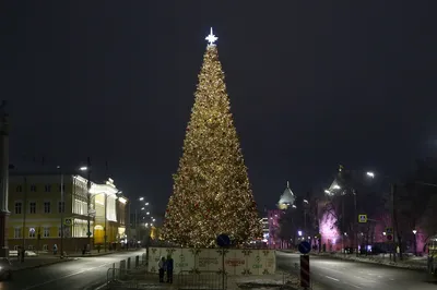 В Самаре закончили установку Новогодней Елки на площади Куйбышева – Новости  Самары и Самарской области – ГТРК Самара