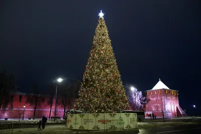 Часть красивой новогодней елки с украшениями и гирляндами на улице в Москве  России Редакционное Фотография - изображение насчитывающей ново,  празднество: 206172577