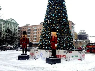 На Центральной площади Ижевска зажглись огни на главной новогодней ёлке  города // ИА Сусанин - проверенные новости Ижевска и Удмуртии, факты и  описания событий.