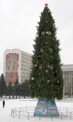 Новогоднюю ель установили на площади Горького в Нижнем Новгороде |  04.12.2023 | Нижний Новгород - БезФормата