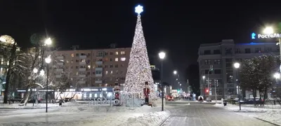 На Дворцовой площади зажглись огни главной новогодней елки Петербурга