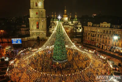 Новогодние праздники 2021 - фото главной елки в Киеве - новости Украины -  Апостроф