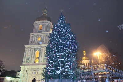 В Киеве открыли главную новогоднюю елку страны | Новини.live