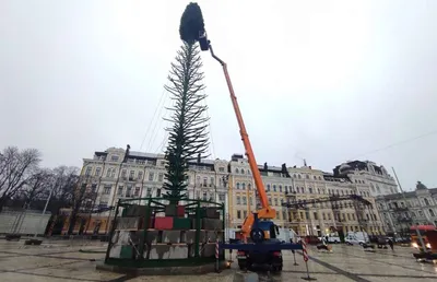 Новогодняя елка в Киеве - церемония открытия елки | Комментарии Украина