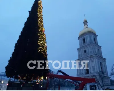 Новый год в Киеве – В сети показали, где стояла новогодняя елка 60 лет  назад (ФОТО) – новости Киева