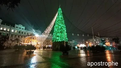 Открытие елки в Киеве - фото и видео | Новости РБК Украина