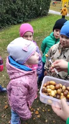 Легко, но обалденно вкусно: новый рецепт ароматной картошки с фрикадельками  в одной сковороде