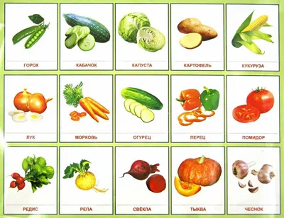 Фото овощей для детей фото