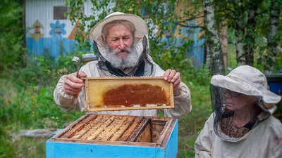 Пасека в вашем саду вместе с интернет-магазином pasekazin.com.ua - Бізнес  новини Івано-Франківська