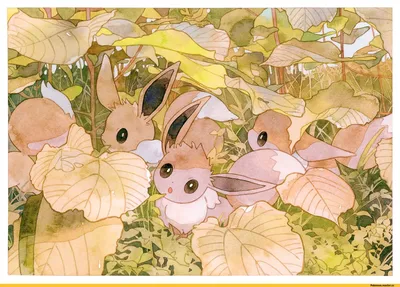 Раскраска Покемон Иви (Eevee) | Раскраски эволюция покемонов (Pokemons  Evolution free colouring pages)
