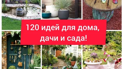 Плодовый сад на даче (70 фото) » НА ДАЧЕ ФОТО