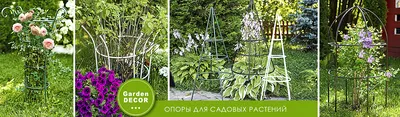 Забудьте об этом: 5 антитрендов в саду и на даче, от которых лучше  отказаться сразу | myDecor