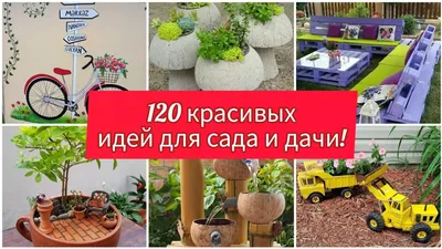 10 многолетних цветущих растений для сада и дачи: посадил и забыл | myDecor