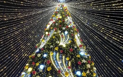 В Геленджике - самая яркая, в Ейске - лысая: топ-10 новогодних елок Кубани  - KP.RU