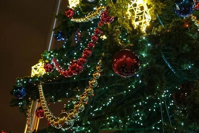 Какая новогодняя елка — самая модная и красивая? - 7Дней.ру