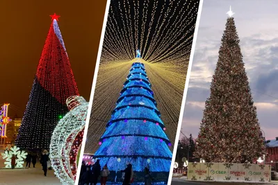 Самые красивые елки Европы фото: как выглядят рождественские елки 2020-2021