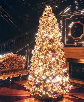 Где находится самая красивая новогодняя елка Лондона | Karisha Rash | Дзен