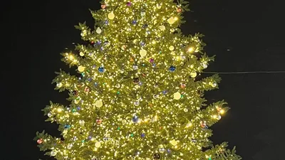 Глаз радуется: 12 самых красивых елок в звездных домах - Летидор