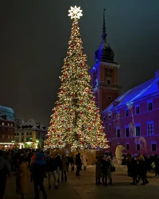 Рождественская елка в Варшаве стала самой красивой в Европе - фото  варшавской елки 2022 - Закордон