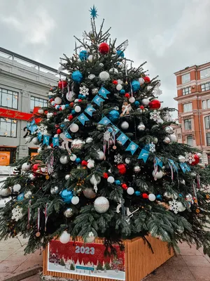 Самые необычные и красивые новогодние елки мира | Resorts4U.Ru