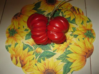 Сіньора Помідора – Продаж насіння томатів і не тільки