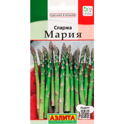 Посадка спаржи в грядки.(Asparagus)Царская спаржа. - YouTube