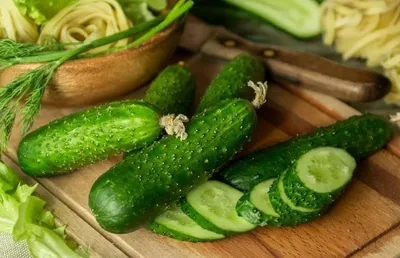 Салат из свежих огурцов, чеснока и зелени, просто и вкусно | Кулинарный  блог Галины Кундиус | Дзен