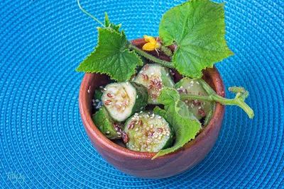 Салат из свежих огурцов в сметане рецепт с фото пошагово - 1000.menu