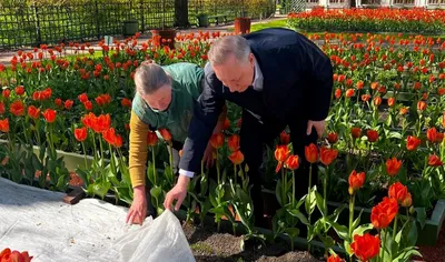 Парад тюльпанов в Никитском ботаническом саду. Ялта