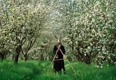 😍 Букет как из весеннего сада 🌳💐 ✔️ Приложим открыточку со спец  средством «Chrysal» (профессиональное средство для продления жизни… |  Instagram