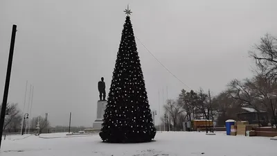 У елки в Парке Маяковского можно встретить Новый год - «Уральский рабочий»