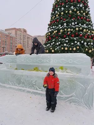 Законно ли берут деньги за фото с дедом морозом возле елки на площади? -  горожанин