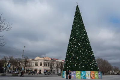 Как выглядят главные новогодние ёлки в разных городах Казахстана |  informburo.kz