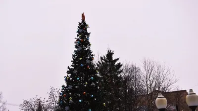 Смешные девчонки стоят на улице возле новогодней елки Стоковое Изображение  - изображение насчитывающей немного, декабрь: 196822147