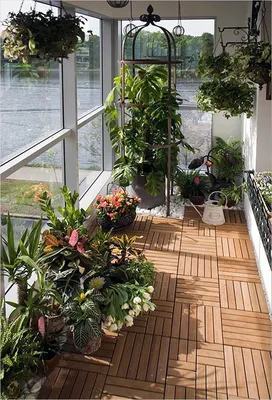 КАК ОБУСТРОИТЬ МИНИ ЗИМНИЙ САД в КВАРТИРЕ. HOW TO EQUIP A MINI WINTER  GARDEN in AN APARTMENT - YouTube