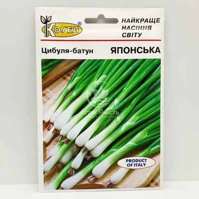 Инсектицид+Фунгицид Для Лука и Чеснока 12мл+3мл Зеленый щит: от магазина  товаров для сада и огорода «dimsadhorod.com.ua»