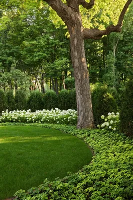 Газон в ландшафтном дизайне | Устройство газона в саду | Садовый газон |  Sadik.ru