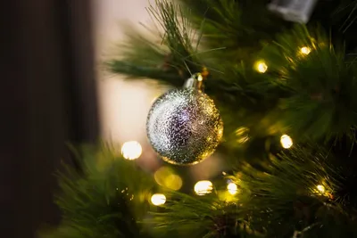 Тренды украшения елки на Новый год – 2024: цвета, игрушки и новые идеи