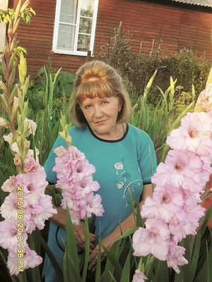 Гладиолусы на даче: посадка, уход, фото и видео | Компания «Большая земля»