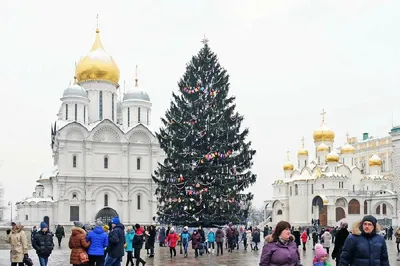 Главная елка Беларуси попала в топ-5 самых высоких в СНГ - Российская газета