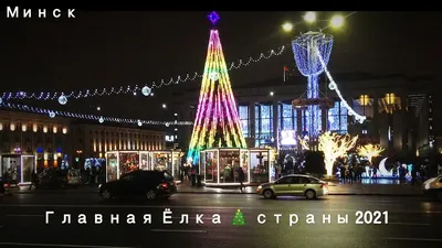 Главная елка страны отправилась в Кремль - РИА Новости, 14.12.2022