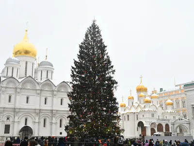 Дворец Республики приглашает на Главную Елку страны! - Новости - kvitki.by