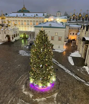 Сравним с нашей. В какой из столиц стран СНГ самая красивая новогодняя елка?  (фото) - Вести.kg - Новости Кыргызстана