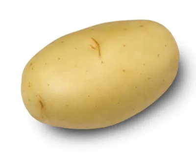 Эволюшен, семена картофеля, 2 репродукция