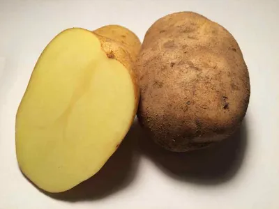 Лучшая картошка: ТОП-10 сортов картофеля на любой вкус