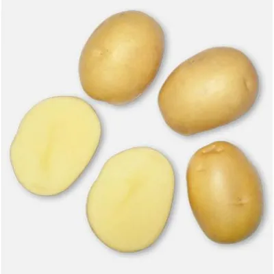 Топ-3 урожайных и вкусных сорта картофеля | Сельский росток | Дзен