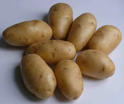 Купить Семенной картофель Актриса 1 кг (ранний 1 репродукция) в магазине  Зелений Світ