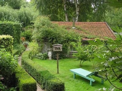 Голландский сад | Интернет-магазин садовых растений