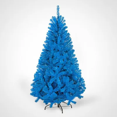 Голубая елка фото фото